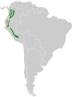 Heliodoxa rubinoides map.svg