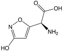 Ibotenic acid2.png