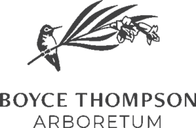 Logo for Boyce Thompson Arboretum.png