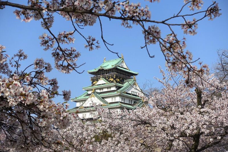 File:Osaka-Castle-cherry-blossom-2018-Luka-Peternel.jpg
