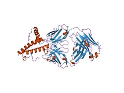 PDB 1tpx EBI.jpg