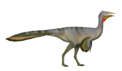 Pelecanimimus UDL.png