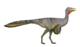 Pelecanimimus.png