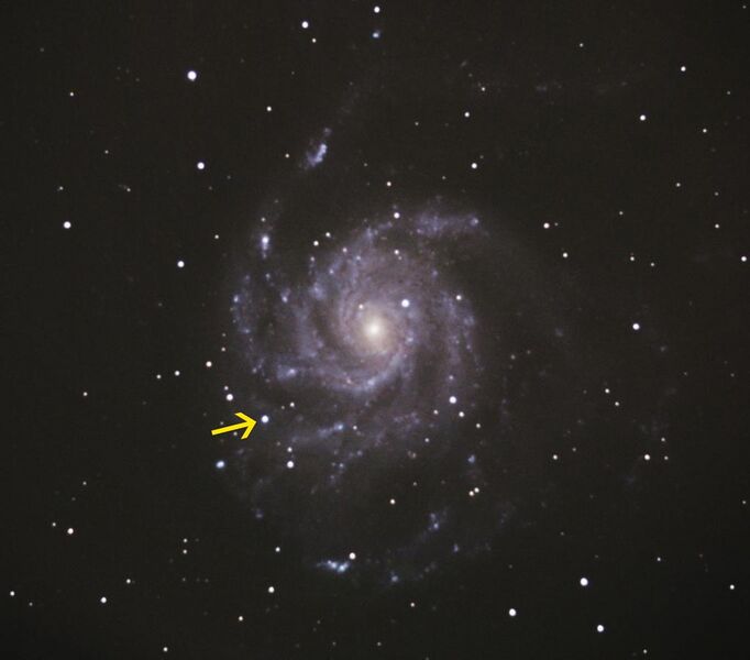 File:Supernova in M101 2011-08-25.jpg