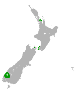 Takahe distribution map.svg