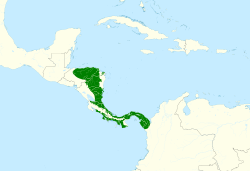 Trogon tenellus map.svg