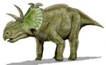 Albertaceratops BW.jpg