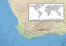 Bradypodion atromontanum distribution.png