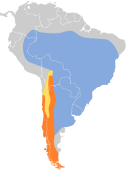 Elaenia chilensis map.svg