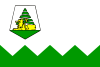 Flag of Ifrane