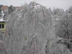 Ice storm in moscow.JPG