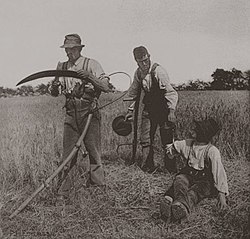 In The Barley Harvest.jpg