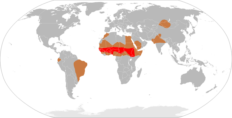 File:Meningitis-Epidemics-World-Map.png