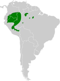 Neoctantes niger map.svg