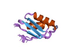 PDB 1mwz EBI.jpg