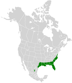 Papilio palamedes range map.PNG