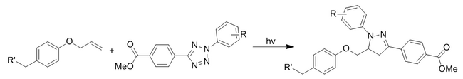 Photoinduced cycloaddition of an alkene to a tetrazole