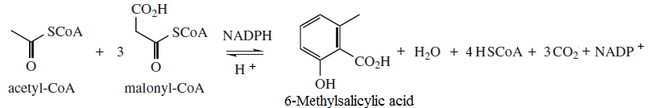 6-methylsalicylic-acid synthase reaction