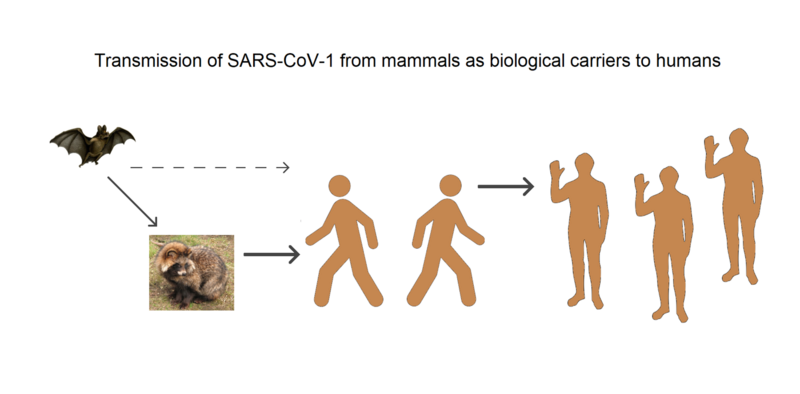 File:SARS-CoV-1 mammals as carriers.png