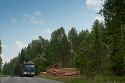 Wood exploitation in Finland 2.jpg