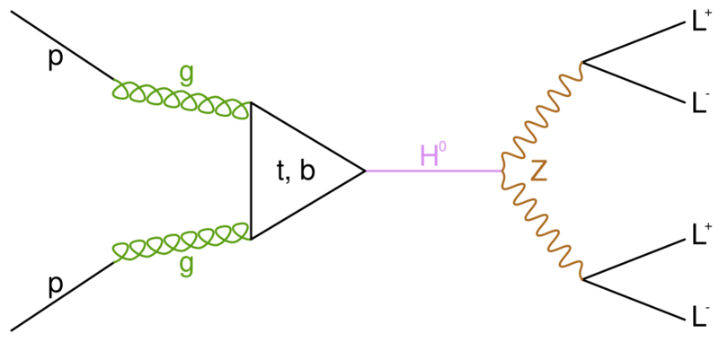 File:4-lepton Higgs decay.svg