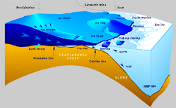 Antarctic shelf ice hg.png