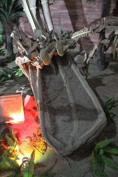 File:Baotianmansaurus henanensis.jpg