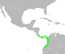 Bufo coniferus distribution.svg