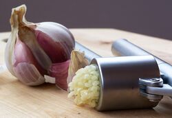 Garlic Press and Garlic.jpg