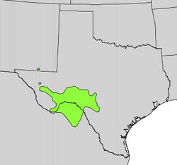 Leucaena retusa range map.jpg