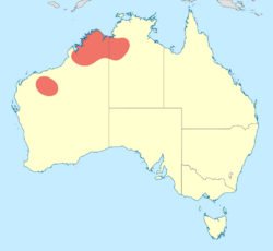 Nososticta liveringa distribution map.svg