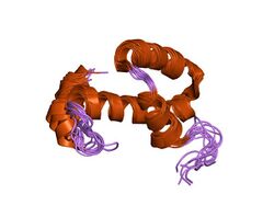 PDB 1jw2 EBI.jpg