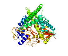 Protein CYP46A1 PDB 2Q9F.png