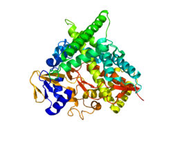 Protein CYP46A1 PDB 2Q9F.png