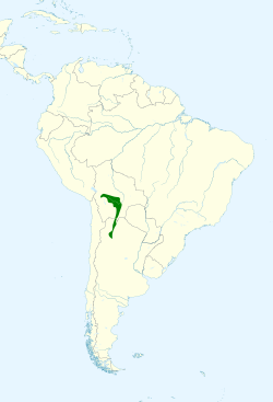 Pseudosaltator rufiventris map.svg