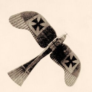 Rumpler Taube monoplane.jpg
