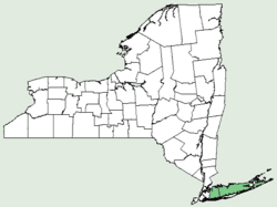 Sagittaria engelmanniana NY-dist-map.png