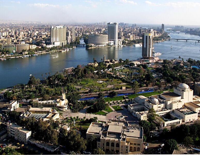 File:View from Cairo Tower 31march2007.jpg
