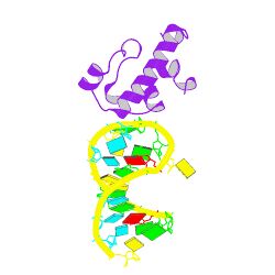 Vts1P SRE Recognition SAM domain.jpg