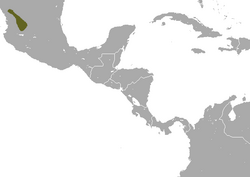 Zacatecas Shrew area.png