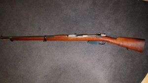 1891 Argentine Mauser.jpg