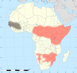 Africa land cover location mamba map with borders.jpg