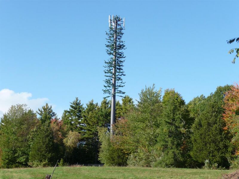 File:Cell phone tower disguised 2008.jpg
