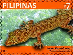 Gekko carusadensis 2011 stamp of the Philippines.jpg