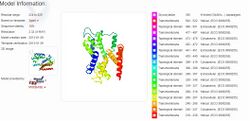 HAK5 Protein sequence.jpg