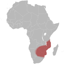 Map-Africa snakes Naja-mossambica.svg