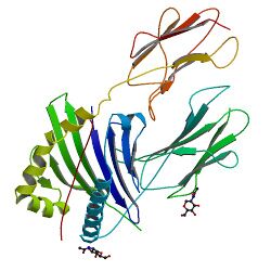 PBB Protein HLA-DRA image.jpg