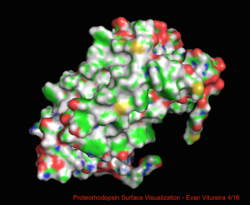 PR surface visualization - ELViture April 2016.png