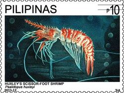 Psalidopus huxleyi 2013 stamp of the Philippines.jpg