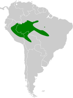 Pteroglossus beauharnaisii map.svg